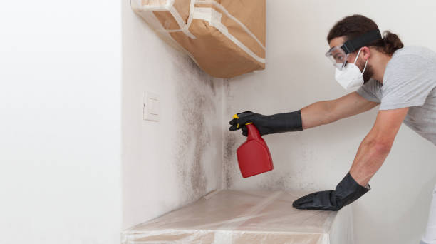 Professional Hvac And Air Duct Mold Remediation technician working in Highlands, NJ